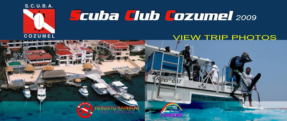 Cozumel gallery image