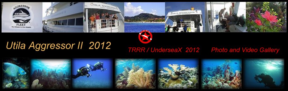 Utila 2012 gallery image