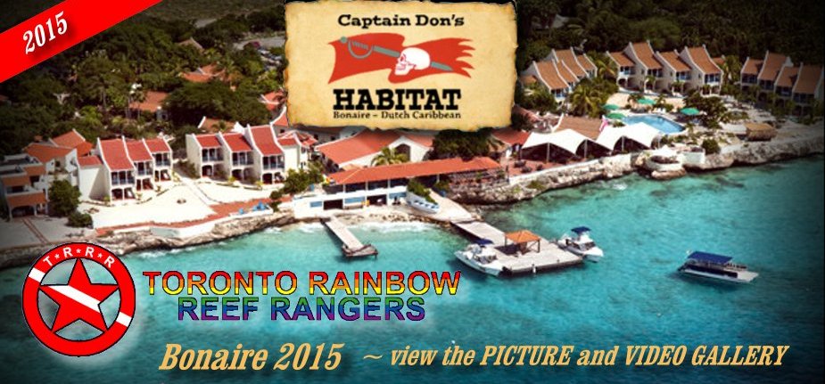 Bonaire 2015 Gallery