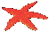 Tiny starfish image
